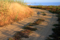 2015-07-18 - Road Less Traveled