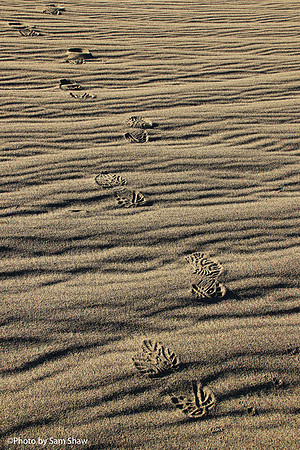 2024-06-24 - Follow