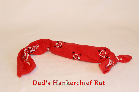 2020-12-15 - Rat