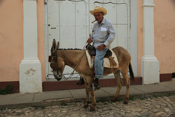 Man with Cigar on Donkey