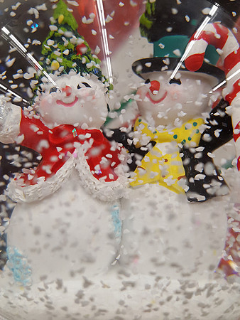 2019-11-29 - Snow Scene
