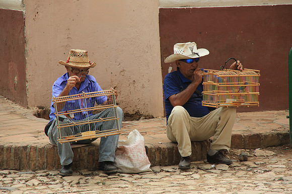 Men taking their Birds for a Walk