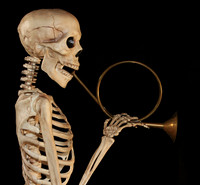 2015-03-20 - Trumpet