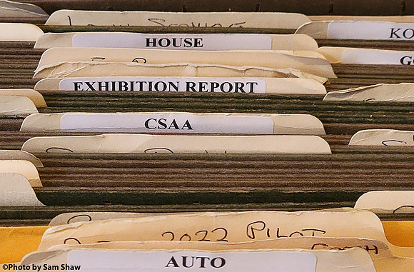 2025-03-08 - Organize