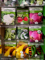 2025-10-12 - Vegetable