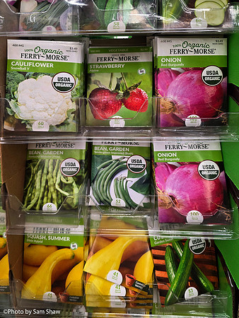 2025-10-12 - Vegetable