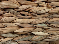 2025-11-03 - Weave