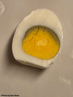 2025-12-12 - Yolk