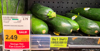 2026-01-10 - Zucchini