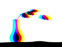 302-RGB-20260102_155958