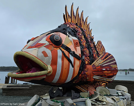 2026-02-04 - Fish