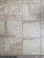 2026-03-10 - Neutral Colors