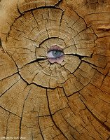 2026-03-12 - Look