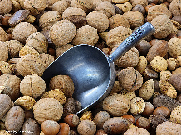 2025-02-04 - Nut
