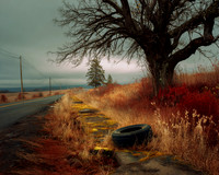 2026-04-03 AI2 - Tire Along The Side Of The Road