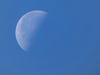 2026-05-09 - Quarter