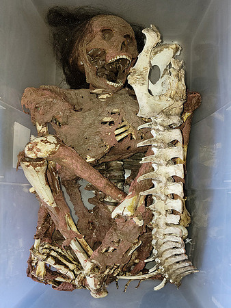 2022-01-24 - Bones