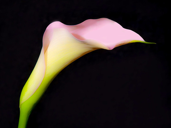 2026-06-03 - Pastel