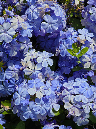 2026-06-08 - Blue