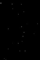 2026-08-10 - Starlight