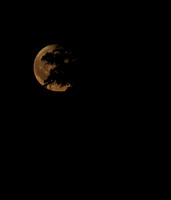 2026-08-11 - Moonlight