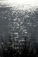 2026-08-09 - Light Reflecting Off Water