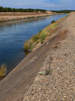 2026-09-09 - An Irrigation Canal