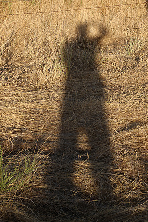 2026-09-25 - Long Shadows