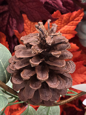 2026-09-15 - Pinecone