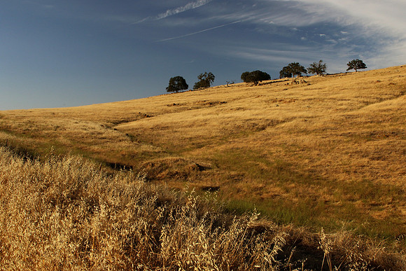 2026-09-08 - Dry Golden Hills