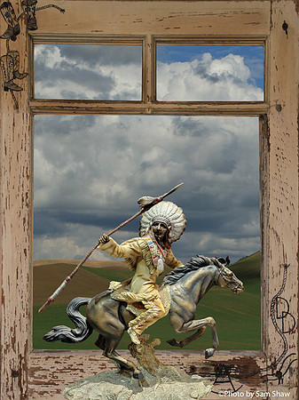 2023-05-11 - Horse