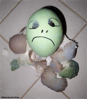 2023-05-03 - Scowl