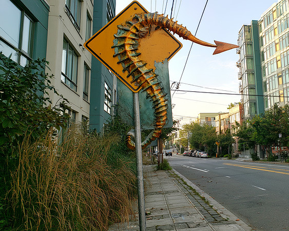 2026-10-25 AI - Unusual sign