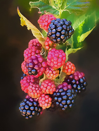 2026-09-21 - Fresh Fruit