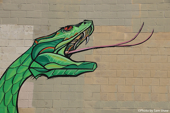 2023-05-20 - Hissing