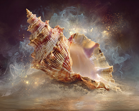 2026-09-22 AI - Seashell
