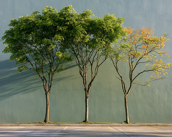 2026-10-31 AI - Photograph containing three of the same thing