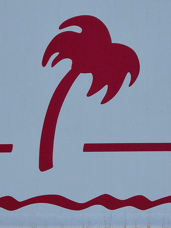 2026-09-10 - Palm Tree