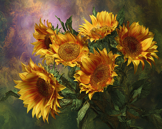 2026-09-20 AI - Sunflowers