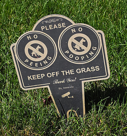 2026-10-25 - Unusual Sign