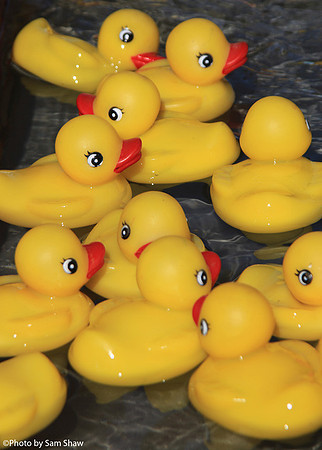 2023-07-22 - Quack