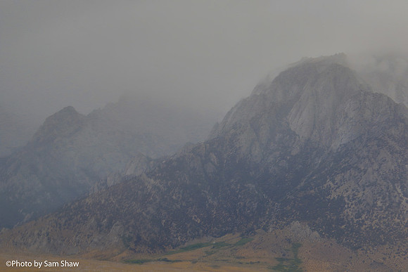 2022-07-20 - Mist