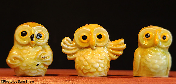 2023-07-14 - Owl