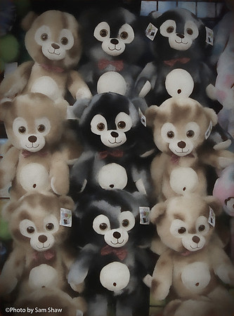 2023-08-01 - Bear