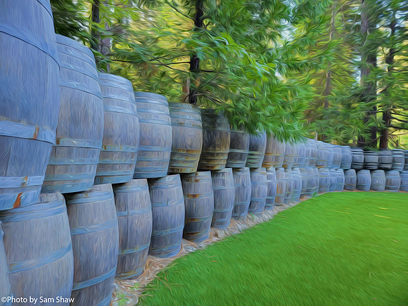 2023-08-08 - Fence