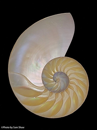 2023-10-23 - Shell