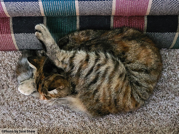 2023-11-01 - Nap