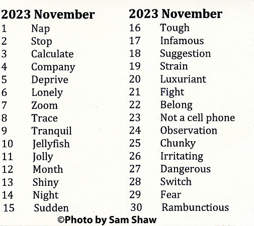 2023-11-12 - Month