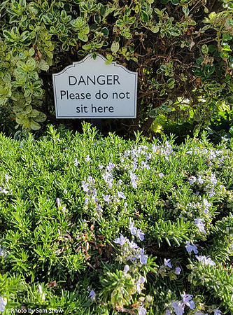 2023-11-27 - Dangerous