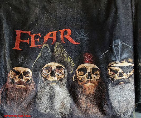2023-11-29 - Fear